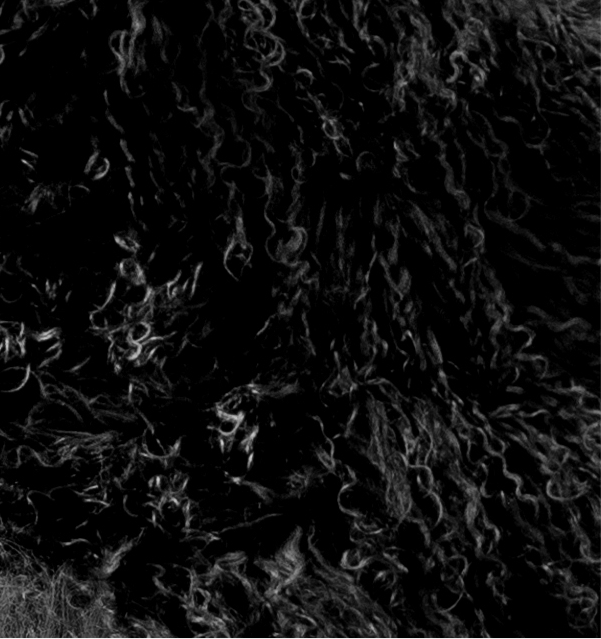 Tibet Lammfell in schwarz